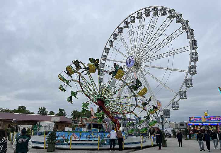 Hawaii Swing und Riesenrad Movie Star (©Foto: Martin Schmitz(